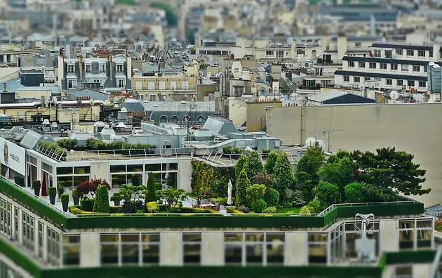 Terrace Garden