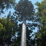 cell tower