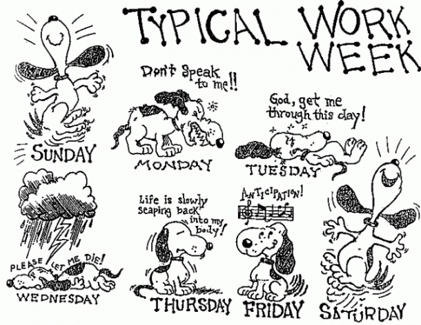 typical work week